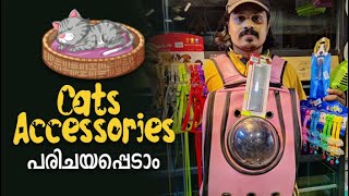 കുറച്ച് Cats Accessories പരിചയപ്പെടാം  Persian cat malayalam video [upl. by Ludie]