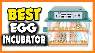 Top 5 Best Egg Incubator in 2023 [upl. by Turnbull]