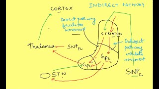 Basal Ganglia physiology  Neurophysiology  CNS Physiology [upl. by Waddington]