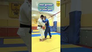 Combinations in Judo 2 judo [upl. by Netsuj979]