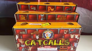 “CATCALLS” FIREWORK FOUNTAIN by BROTHERS [upl. by Lyrahs]