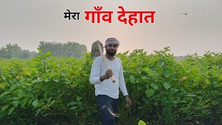 The Village  सुबह सुबह खेत मे काम करना पड़ा 😃 KS VIKASH VLOG [upl. by Laure]