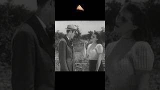 Highway Hell 1941 PizzaFLIX🍕TEASER2 [upl. by Ahsinauj237]