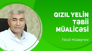 Qızıl yelin təbii müalicəsi  Fizuli Hüseynov [upl. by Einittirb]