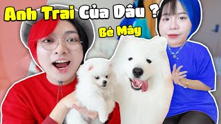 Kairon Và Simmy Nhận Nuôi ANH TRAI SINH ĐÔI CỦA BÉ DÂU  Kairon Nhận Nuôi BÉ MÂY 😍 [upl. by Eniawed]