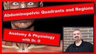 Abdominopelvic quadrants and regions Anatomy and Physiology [upl. by Benji]