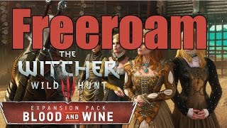 The Witcher 3 Blood and Wine  Freeroam Livestream Part 115 [upl. by Nerua]