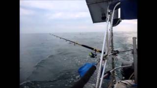 Lakes Entrance to Eden in a Trailer Sailer [upl. by September]