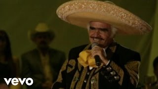 Vicente Fernández  Por un Amor En Vivo [upl. by Arodoet]