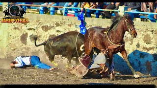 LOS TOROS VINIERON A HACER ESTRAGOS EN LA ESQUINA GTO [upl. by Enomor669]