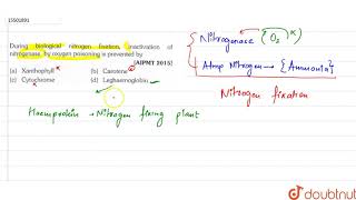 During biological nitrogen fixation inactivation of nitrogenase by oxygen poisoning is prevented by [upl. by Torrin957]