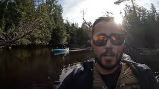 Kayak Camping the Au Sable River 2022 The Search for free campsites [upl. by Yrrap]