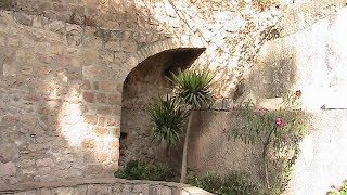 Garden Tomb and Gethsemane Where Jesus Prayed before Crucifixion  Israel Tour [upl. by Ahsaeit989]