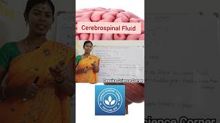 Cerebrospinal Fluid CSF cerebrospinalfluid functionsofcsf deepikasciencecorner sciencetopics [upl. by Nomolas]