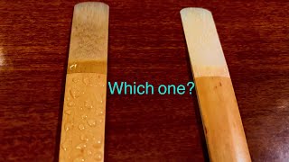 Wet vs dry clarinet reed bird clarinet [upl. by Yerffeg]