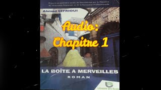 LA BOITE A MERVEILLES  livre audio  chapitre 01 [upl. by Hebe]