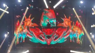 Excision visuals [upl. by Celinka]