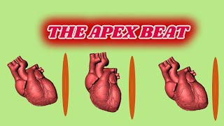 APEX BEAT a detailed discussion on cardiac impulse and apex beat [upl. by Hinda596]