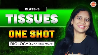 Tissues  One Shot  Class 9 Biology  SSC  CBSE  AP amp TS State Boards [upl. by Gypsy]