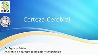 ESFUNO  Neurobiología  Corteza Cerebral [upl. by Assilana]