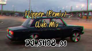 Flipper Remix Club Mix 2024 [upl. by Tengler]