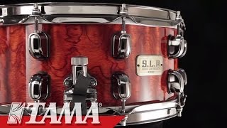 TAMA SLP GBubinga Snare Drum [upl. by Rennerb]