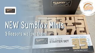 5 Reasons we love the New Sumblox Minis  A Customer Review [upl. by Renie810]