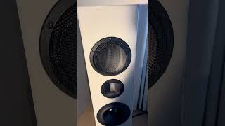 BetonArt Loudspeakers and 21quot Subwoofer audiophile hifi audio hifiaudio [upl. by Sihunn636]