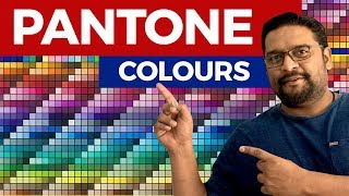 Learn What is Pantone Colour Graphic Design [upl. by Cressler203]