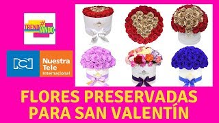 Arreglos con flores preservadas son la tendencia para regalar en San Valentín [upl. by Aistek]