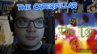 The Cure  The Caterpillar Reaction [upl. by Darce]