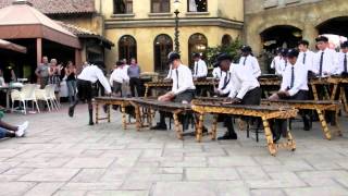 St Stithians Boys Preparatory Marimba Band 2011 MOV [upl. by Ase]