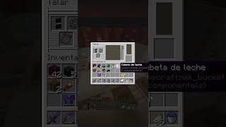 minecraft maicraf minecraftmeme minecraftmemes maicraft [upl. by Farrah]