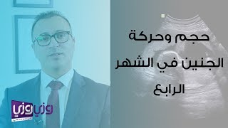 حجم الجنين في الشهر الرابع وحركته والمتاعب المرافقة لذلك [upl. by Nyra]