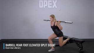 Barbell Rear Foot Elevated Split Squat  OPEX Exercise Library [upl. by Edette]