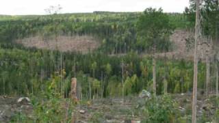 Ingemars Vår gamle grend Finnskogen [upl. by Nauqyaj]