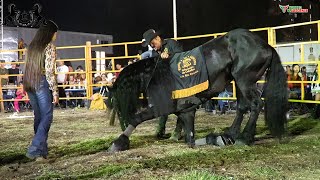 ¡EL ESPECTACULO ECUESTRE QUE SIGUE CAUTIVANDO AL PUBLICO RANCHO LA ESPERANZA EN ARENALES TAPATIOS [upl. by Allayne241]