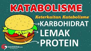 Katabolisme Karbohidrat Protein dan Lemak  Materi Biologi Kelas 12 [upl. by Aenad]