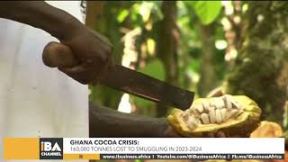 GHANA COCOA CRISIS 160000 TONNES LOST TO SMUGGLING IN 2023 2024 [upl. by Ernaline808]