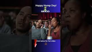 Happy Hump Day Wednesday The Best Funny Gieco Camel Commercials [upl. by Lebasy]