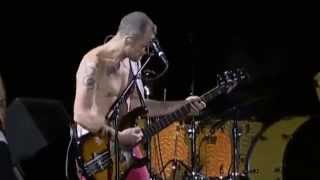 Red Hot Chili Peppers  Bass Solo  Dont Forget Me Chorzów Poland 07 [upl. by Feerahs]