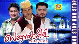 Perunnalkili 201415  Non Stop Malayalam Songs  Mappilapttukal  Superhit Mappila Album [upl. by Gone]