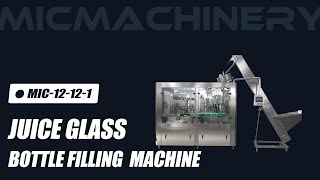 Best Juice Glass Bottle Filling Machine of 2024 Chinese ManufactureMachine [upl. by Terbecki667]