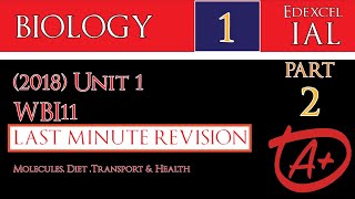 IAL EDEXCEL BIOLOGY 2018 UNIT 1 WBI11 LAST MINUTE REVISION Part 25 [upl. by Arathorn]