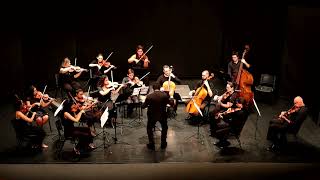 Concerto Grosso em Sol Menor  Orquestra de Câmara de Cordas de Piracicaba [upl. by Esil857]