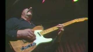 The Ventures Live 1984  House Of The Rising Sun [upl. by Soiritos329]