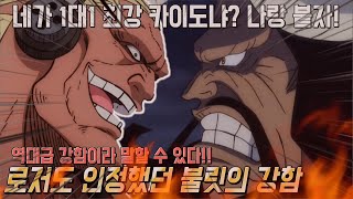 원피스 혼자서 초신성을 제압하고 해군 대장 사황까지 때려 잡으려 했던 불릿의 강함 [upl. by Gail]