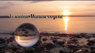 Vesarina Manase oogene  Christian Telugu song  with lyrics [upl. by Eteragram478]