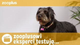 zooplusowi eksperci testują PURINA PRO PLAN Fortiflora Canine Probiotic [upl. by Aileda]