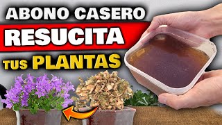 REVIVE PLANTAS ENFERMAS o SECAS  Aplica ESTO para CURAR tu PLANTA  Fertilizante Casero Natural [upl. by Eidnac]